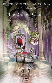 The Silver Chair (rack) #4