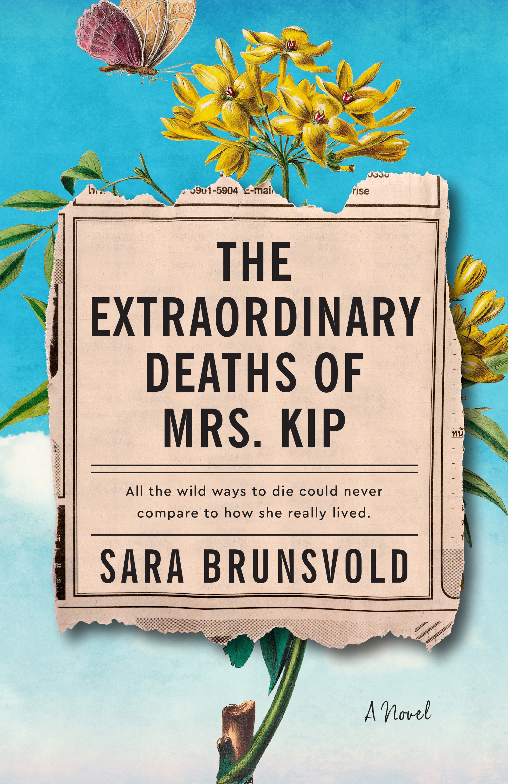 The Extraordinary Deaths of Mrs. Kipibute (Download PDF Book)