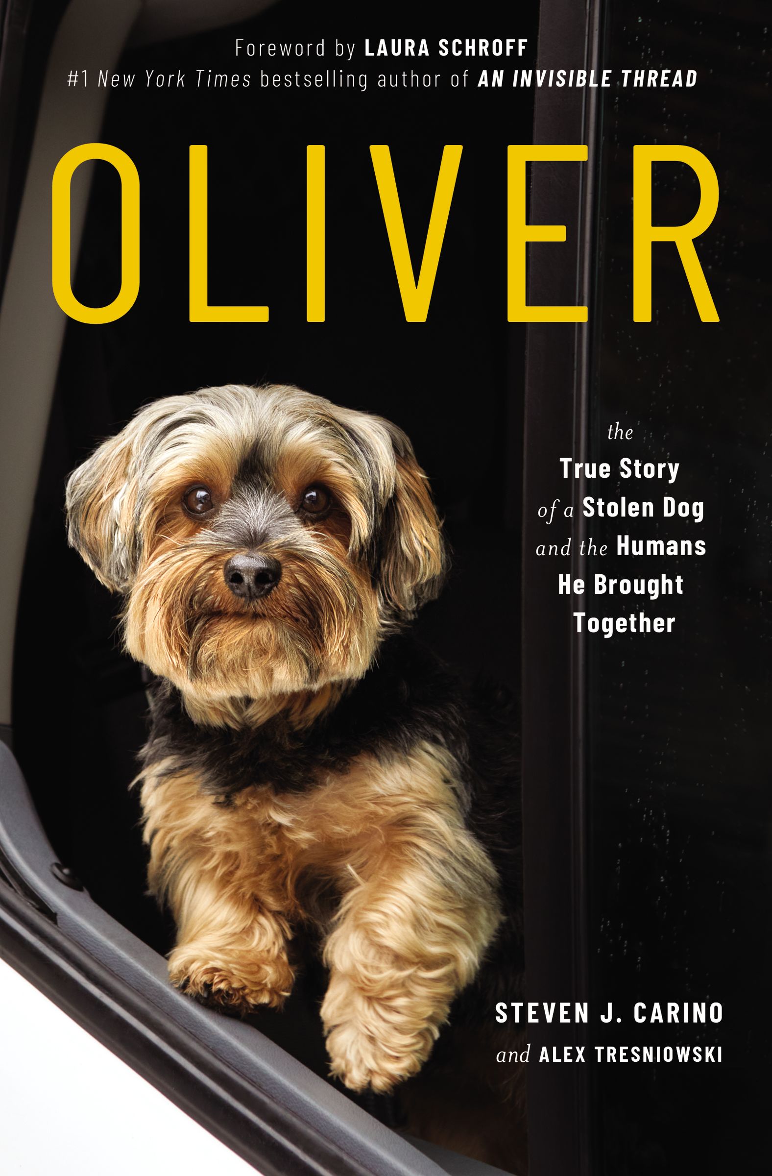 Oliver by Steven J. Carino , Alex Tresniowskiibute (Download PDF Book)