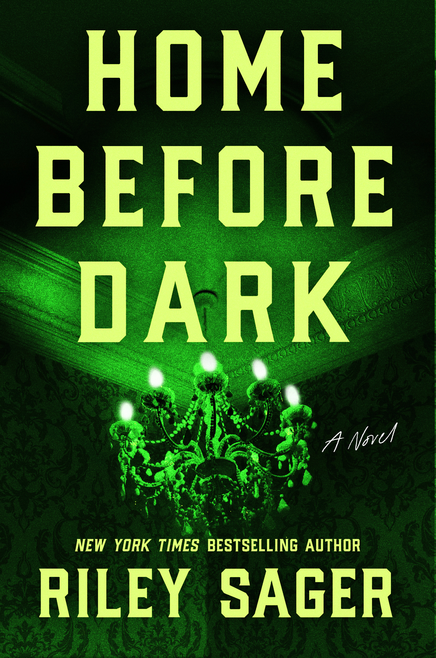 Home Before Darkibute (Download PDF Book)
