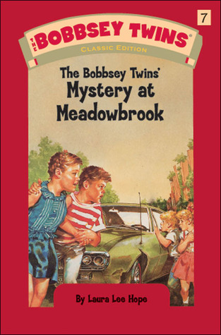The Bobbsey Twins' Mystery at Meadowbrook #7ibute (Download PDF Book)