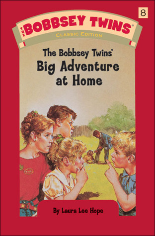 The Bobbsey Twins' Big Adventure at Home #8ibute (Download PDF Book)